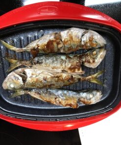 Microhearth Grill Pan for Microwave Cooking, Red 31 814WqWB6DGL