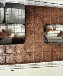 Wilton Letters and Numbers Adjustable Non-Stick Cake Pan Set, 10-Piece Set, Steel Celebrations Set 47 814Y6wIIuuL