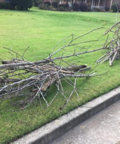 BLACK+DECKER 20V MAX* Alligator Lopper Cordless Chainsaw, Tool Only (LLP120B) 20V Lopper (Tool Only) 16 814YaCL8T6L