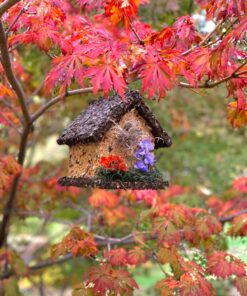 Edible Birdhouses | Reseedable Wooden Birdhouse Covered w/Birdseed | Squirrel Proof Bird Feeder | Made in The USA (SD) Short Dark Roof 37 814ZNeySSKL