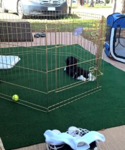 IRIS USA Small Pet Training Pad Holder, Dark Gray 17"x17" 58 814Zy3o0UmL