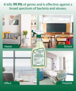 Citrus II Hospital Germicidal Deodorizing Cleaner, Fresh Citrus, 22-Fluid Ounce 18 814b7KYSDHL