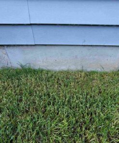 Greenworks 10 Amp 16-inch Corded Mower, 25142 16" Corded Mower 82 814eME0CsL