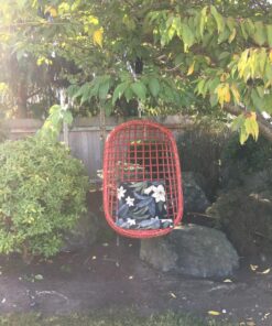 Easy Hang (4FT) Tree Swing Strap X1 - Holds 2200lbs. - Heavy Duty Carabiner - Bonus Spinner - Perfect for Tire and Saucer Swings - 100% Waterproof - Easy Picture Instructions - Carry Bag Included! 4 Feet Single 29 814lDeblwsL