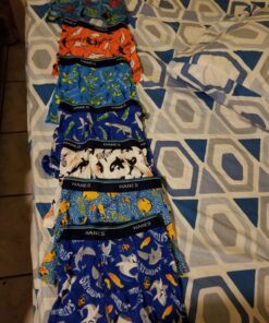 Hanes Boys Toddler 7-Pack Days of The Week Boxer Brief (Assorted) 2-3 Assorted 11 814ntNMJ4L