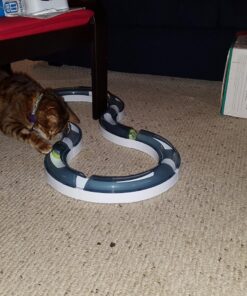 Catit Design Senses Play Circuit, Original Blue 19 814oYNFOICL