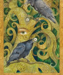 Chrysalis Tarot Cards, Box set 37 814yCZ75DpL