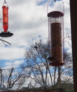 Perky-Pet 102 4 lb Squirrel Resistant Easy Feeder 35 815 a1L46L