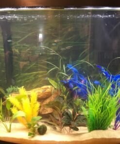 Hikari Bacto-Surge High Density Foam Filter, Large 21 81511eQVIXL