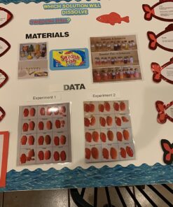 57.4 Ft Ocean Wave Bulletin Board Borders 50 Pcs Under The Sea Beach Boards Trim for School Classroom Bulletin Borad Office Wall Decal 17 8152PmbmbZL