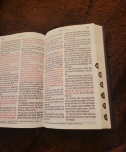 KJV Holy Bible, Giant Print Standard Size Faux Leather Red Letter Edition - Thumb Index & Ribbon Marker, King James Version, Dark Brown Imitation Leather 66 8154lOfIemL