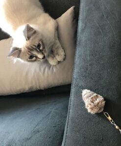 Go Cat Cat Catcher Teaser Wand with Mouse Cat Toy 25 8156n8p0wxL