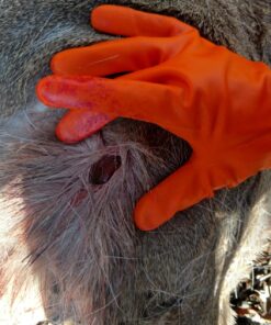 Swhacker SWH00207 #207 2 Inch Cut Broadheads Set of 3-100 Grain, Green, 2" 46 8157mOz6YlL