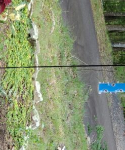 Perky-Pet 391 Metal Tube Wild Bird Feeder, Blue Sturdy 42 815BbMFt4L