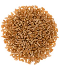 Alternative view of Hard Red Winter Wheat Berries | 5 LBS | Family Farmed in Washington State | Non-GMO Project Verified | 100% Non-Irradiated | Certified Kosher Parve | Field Traced | Burlap Bag 5 Pound (Pack of 1)