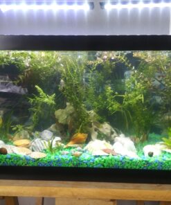 PENN-PLAX Standard Airline Tubing for Aquariums – Clear and Flexible – Resists Kinking – Safe for Freshwater and Saltwater Fish Tanks – 8 Feet 20 815L9p6cijL