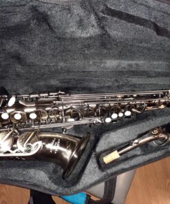 GLORY Engraved Flower Design High Grade Antique Finish Series PR4, E Flat Alto Saxophone with 11reeds,8 Pads Cushions,case,carekit 53 815RynMLKjL