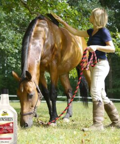 Absorbine ShowSheen Hair Polish & Detangler 32oz Refill Bottle, Horse and Dog Coat, Mane and Tail, Instant Detangling & Reduces Hair Breakage for Healthy Grooming & Radiant Shine 11 815T08TzVxL 1