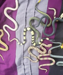 Like Life Snakes 29 815WAVBRomL