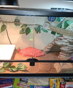 Quakehold! Furniture Strap Kit, Earthquake Fasteners for Disaster Preparedness, Child Proof Safety Straps for RV, Home Office, Helps Prevent Damage and Injury, Easy to Install, Black 1 Count (Pack of 1) 9 815Yzql1HYL