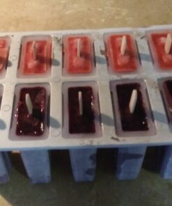 Fox Run Frozen Maker Set Ice Pop Mold, with 24 Popsicle Sticks, BPA-Free Aluminum 31 815b3D2f aL