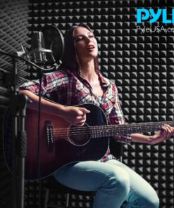 Pyle PSiP24 Acoustic Isolation Absorber Shield Sound Wall Panel Studio Foam and Dampening Wedge with Height Adjustable Stand,Charcoal Gray Single Pack 13 815dNL9WcyL