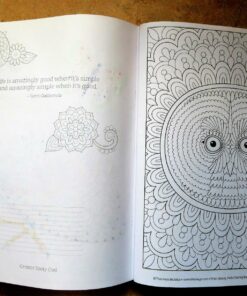 Groovy Owls Coloring Book (Coloring is Fun) (Design Originals) 32 Adorable Art Activities with Quiet, Stoic, Wise, and Happy Owls, plus Beginner-Friendly Advice, Techniques, Color Choices, & Examples Paperback, Coloring Book 57 815dtgCPHSL