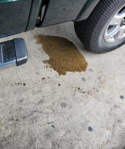 Lucas Oil 10003 Fuel Treatment - 1 Quart 21 815fFfqcrXL