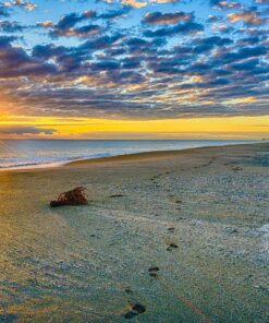 Nikon Z7 Full-Frame Mirrorless Interchangeable Lens Camera with 45.7MP Resolution, Body, Black, 1591 Body Only Base 37 815hAbJAKbL