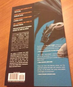 Batman: The Long Halloween Paperback 31 815izZxVYEL