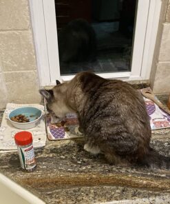 Purina Fancy Feast Grilled Wet Cat Food Seafood Collection in Wet Cat Food Variety Pack - (24) 3 oz. Cans Seafood Variety Pack - 24 Ct. 3 Ounce (Pack of 24) 48 815kezwDG4L