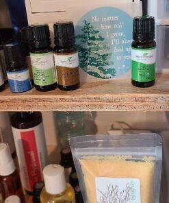 Plant Therapy USDA Certified Organic Spearmint Essential Oil 10 mL (1/3 oz) 100% Pure, Undiluted, Therapeutic Grade 19 815lN3h2CL