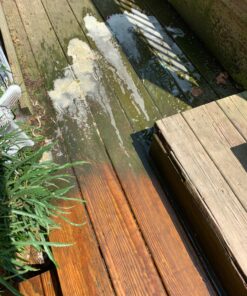 Premium Sodium Percarbonate - 99.9% Pure - Oxygen Bleach Powder - 2 lbs - Multi-Use - Safe in Home - Ecoxall Chemicals 2.00 Pound (Pack of 1) 21 815nRYFHdeL