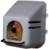 Little Giant® Plastic Chicken Nesting Box | Chicken Nest Box for Laying Hens | Chicken Bed | Egg Laying Chicken Box | Chicken Perch | Nesting Box for Chicken Coops 14 815o2I37kL