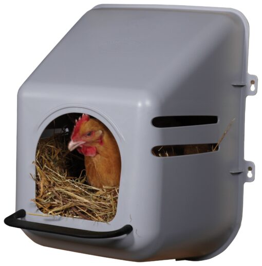 Little Giant® Plastic Chicken Nesting Box | Chicken Nest Box for Laying Hens | Chicken Bed | Egg Laying Chicken Box | Chicken Perch | Nesting Box for Chicken Coops