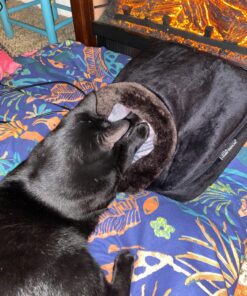 Snailax 2-in-1 Shiatsu Foot and Back Massager with Heat - Kneading Feet Massager Machine with Heating Pad, Cushion or Foot Warmer,Massagers for Back,Leg,Foot Relief Black 31 815pipsnn9L