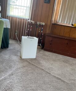 Air Purifiers for Home Large Room up to 1740sq.ft, H13 True Hepa Air Purifiers for Pets Hair, Dander, Smoke, Pollen, 3 Fan Speeds, 5 Timer Air Cleaner 28 815qFtcftZL