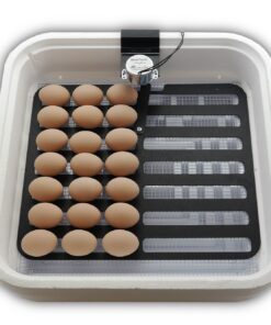 HovaBator 2370 Egg Incubator Deluxe Combo Kit, Electronic Thermostat, Circulating Air Fan, Automatic Egg Turner, Hygrometer for Humidity Measurement, Quail - Goose Hatching Eggs, Poultry 23 815rJuU C3L
