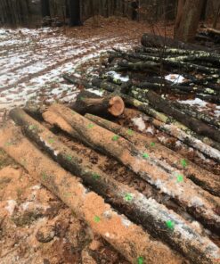 The Mingo Marker Firewood Measuring Tool - Chainsaw Firewood Marking Tool With Marking Wheels - Log Paint Marker -Firewood Measuring Tool For Chainsaw - Logging Tools (Mingo Marker With 16" Wheel) Mingo Marker With 16" Wheel 21 815sijGnWQL