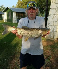 Pro-Cure Wizard Kokanee Killer Korn Dye, 4 Ounce, Pink 25 815tp8PCxuL