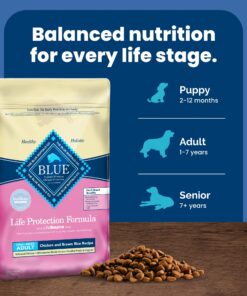 Blue Buffalo Small Breed Dog Food, Life Protection Formula, Natural Chicken & Brown Rice Flavor, Adult Dry Dog Food, 15 lb Bag 15 Pound (Pack of 1) 36 815v0ngWHL