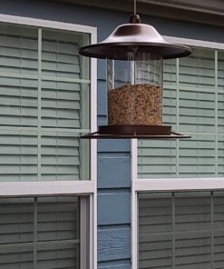 Perky-Pet 312-1SR Outdoor Panorama Wild Bird Feeder - 2 Lb Seed Capacity Brown 33 815x9Jg5CAL