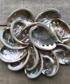 Alternative view of The Shell Connection | Natural Red Abalone | 3" - 4" | Set of 10