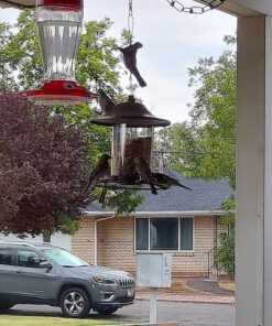 Perky-Pet 312-1SR Outdoor Panorama Wild Bird Feeder - 2 Lb Seed Capacity Brown 46 815yEYSUBHL