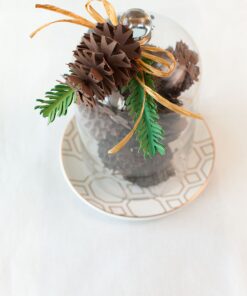 Cricut 3D Floral Home Decor Cartridge 19 8160N2JnqKL