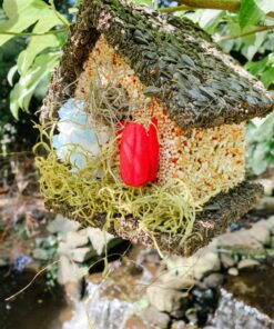 Edible Birdhouses | Reseedable Wooden Birdhouse Covered w/Birdseed | Squirrel Proof Bird Feeder | Made in The USA (SD) Short Dark Roof 36 8162qqWWrjL