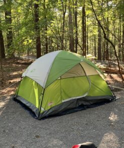 Coleman Sundome Camping Tent, 2/3/4/6 Person Dome Tent with Snag-Free Poles for Easy Setup in Under 10 Mins, Included Rainfly Blocks Wind & Rain, Tent for Camping, Festivals, Backyard, Sleepovers Palm Green 4 Person 29 8163Dl5lTL