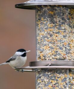 Perky-Pet 325C 2-Tier Copper Panorama Bird Feeder 2 Tier 15 8163RiRtDeL