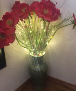 Sanniu Led String Lights, Mini Battery Powered Copper Wire Starry Fairy Lights, Battery Operated Lights for Bedroom, Christmas, Parties, Wedding, Centerpiece, Decoration (5m/16ft Warm White),1 Pack 1 Pack 34 8163mMcg4zL