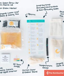 The Kombucha Shop Organic Kombucha Starter Kit - 1 Gallon Brewing Kit Includes All The Essentials Required for Brewing Kombucha At Home Regular 34 81687rTC0NL